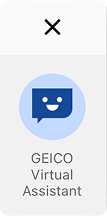 Geico Virtual Assistant Icon